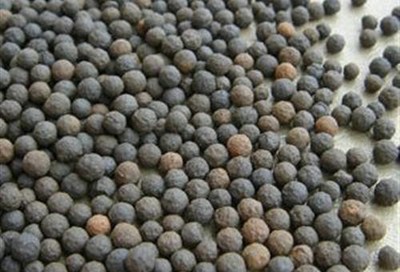 鼎晟联合(厦门)图轻质陶粒滤料厦门陶粒滤料