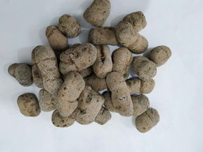 粘土陶粒报价 厂家