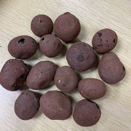 卫生间回填陶粒 陶粒 捷睿斯建材