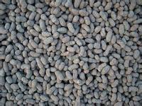 葫芦岛陶粒选购指南 价格、图片、详情及优质厂家推荐