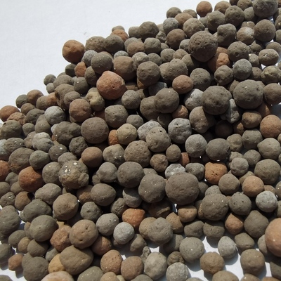 生物陶粒及其在杭州天然污水处理中的应用