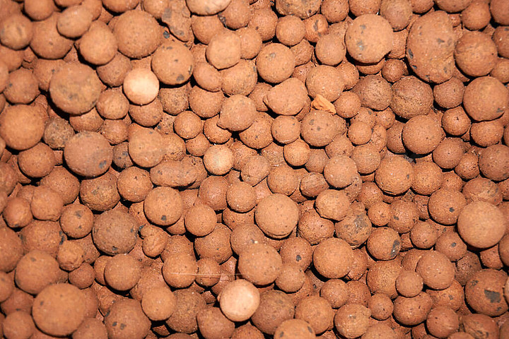 探索陶粒水培 技术、优势与应用实践