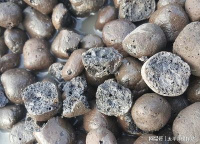 太平洋与您浅析陶粒及轻骨料混凝土的应用发展