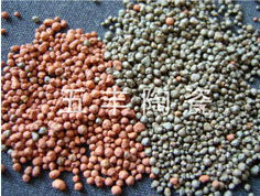 陶粒 一种多功能的环保建筑材料