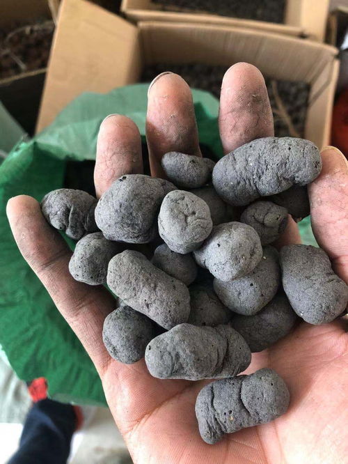 八宿县建筑陶粒价格解析与选购指南