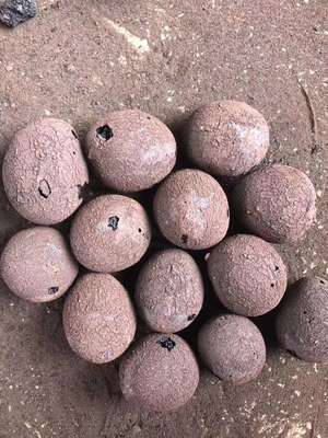 云南陶粒市场行情与价格参考指南