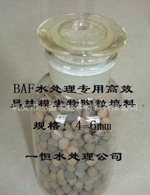 【生物陶粒滤料与水处理陶粒滤料的区别:一恒生物陶粒】价格_厂家_图片 -